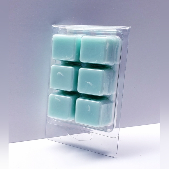 COASTAL WATERMELON -Bath & Body Works Candle Wax Melts- $8 per pack - Picture 3 of 8